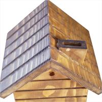 Küçük Ev Masif Kumbara