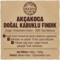 Taze Akçakoca Fındığı 2025 Yılı Mahsulü
