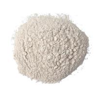 Zeolit Yaprak Dal Meyve Koruma