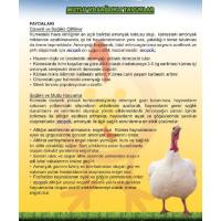 Zeopak Zeolit Hayvan Altlığı-100 kg